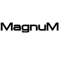 Логотип автосигнализаций Magnum